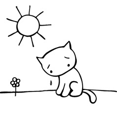 sad kitty sometimes life is hard
